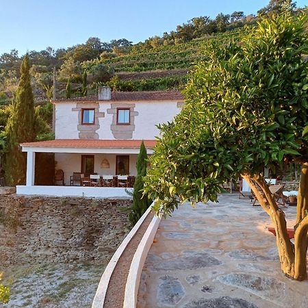 Country House Quinta Da Salgueira Alijó Εξωτερικό φωτογραφία