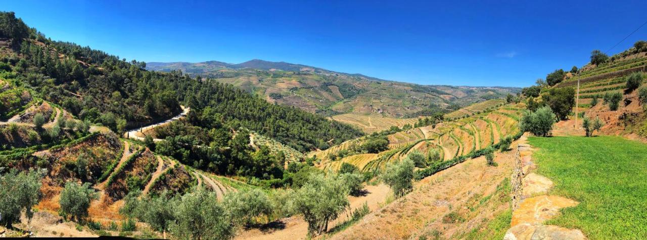 Country House Quinta Da Salgueira Alijó Εξωτερικό φωτογραφία