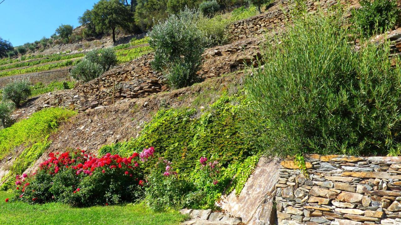 Country House Quinta Da Salgueira Alijó Εξωτερικό φωτογραφία
