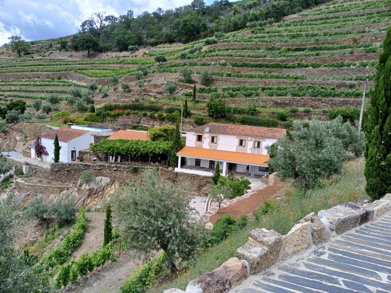 Country House Quinta Da Salgueira Alijó Εξωτερικό φωτογραφία