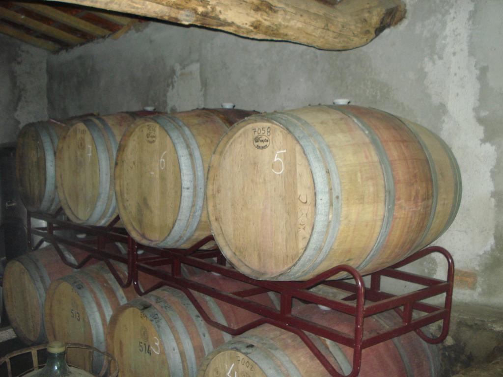 Country House Quinta Da Salgueira Alijó Εξωτερικό φωτογραφία