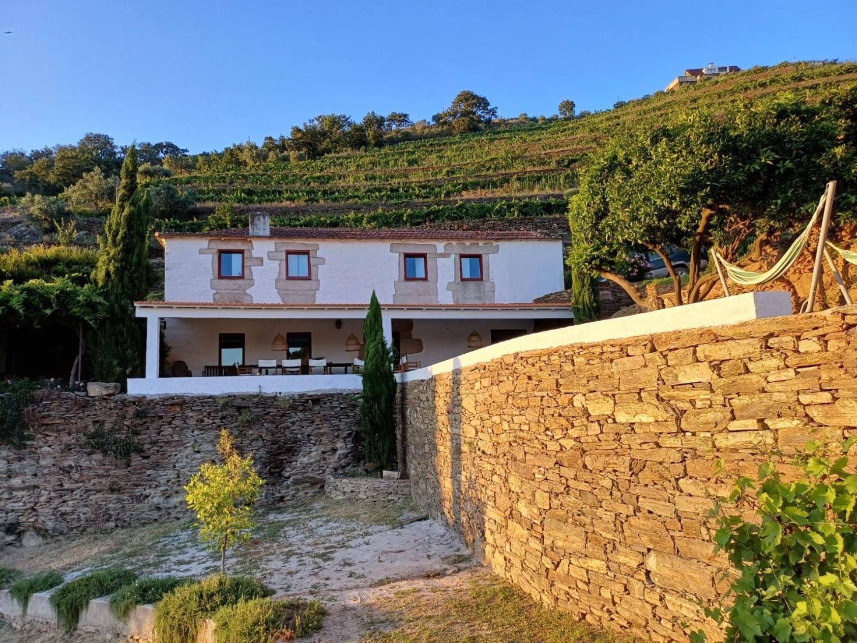 Country House Quinta Da Salgueira Alijó Δωμάτιο φωτογραφία
