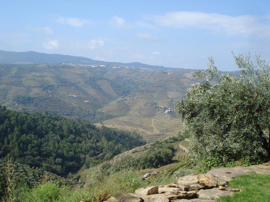 Country House Quinta Da Salgueira Alijó Εξωτερικό φωτογραφία