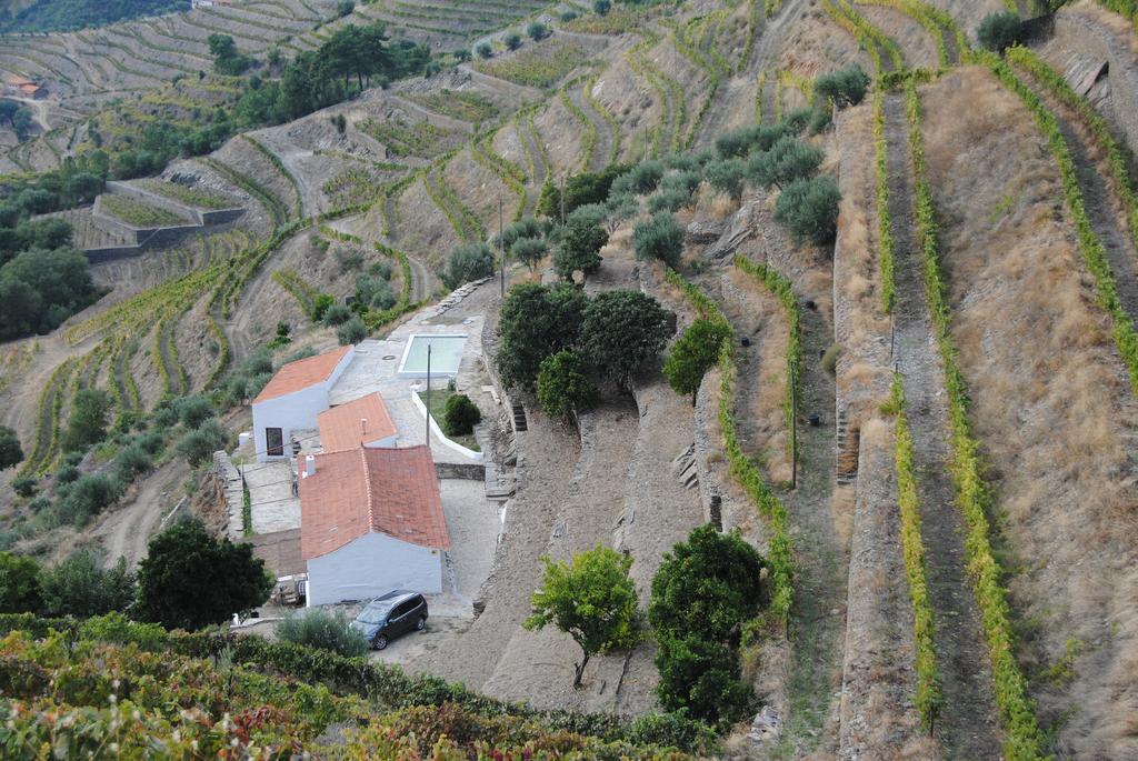 Country House Quinta Da Salgueira Alijó Εξωτερικό φωτογραφία