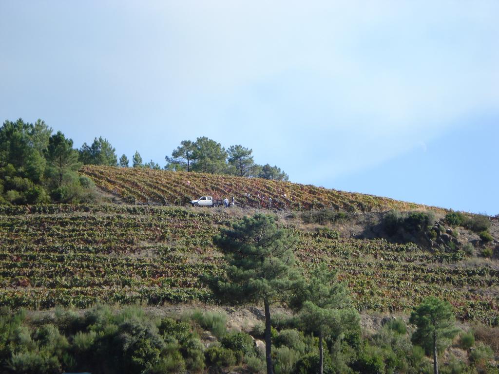 Country House Quinta Da Salgueira Alijó Εξωτερικό φωτογραφία