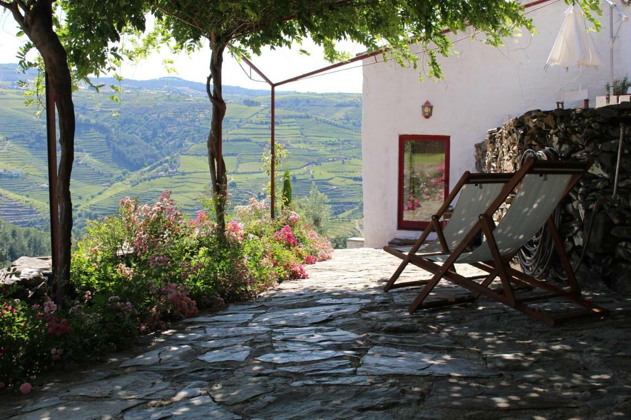 Country House Quinta Da Salgueira Alijó Εξωτερικό φωτογραφία
