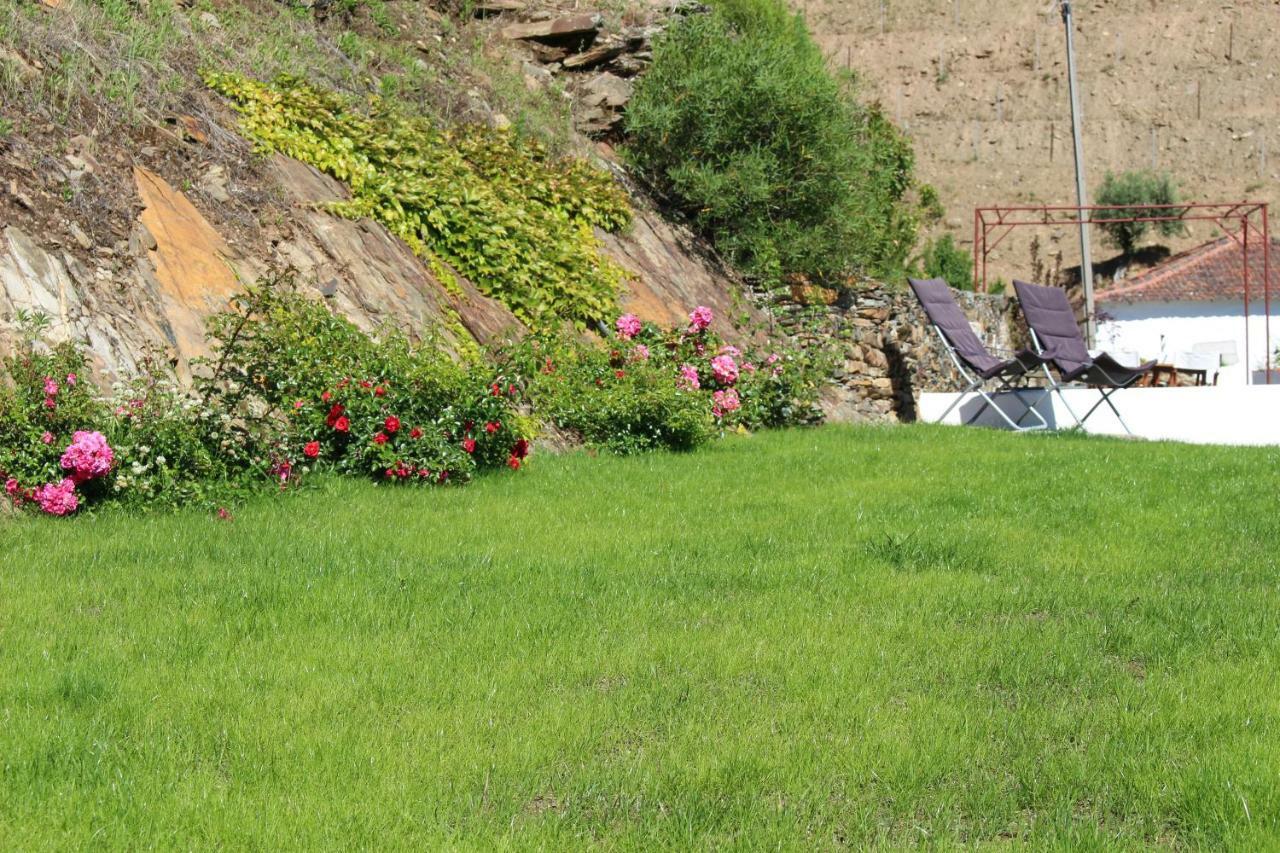 Country House Quinta Da Salgueira Alijó Εξωτερικό φωτογραφία